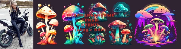 СК Алексин