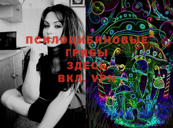 apvp Алексеевка