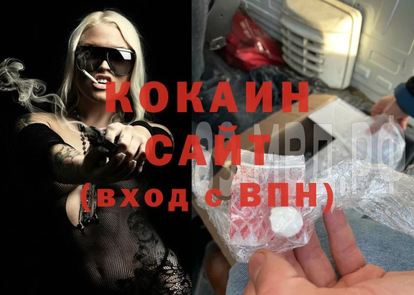 СК Алексин