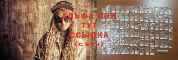 СК Алексин